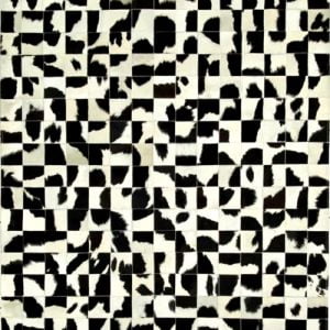 15199029502 01957020a