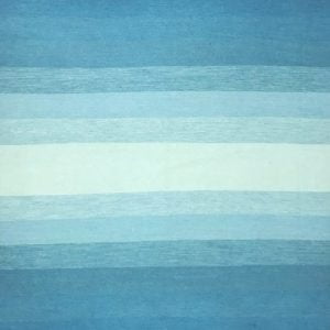 12569027814 Degrade Blue A11 E776f4991dadbcf4a615916403329433 1024 1024