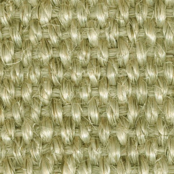 13009204779 Fe 13