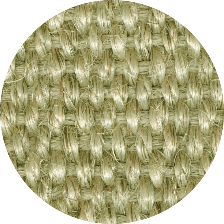 13009226176 Fe20redondo